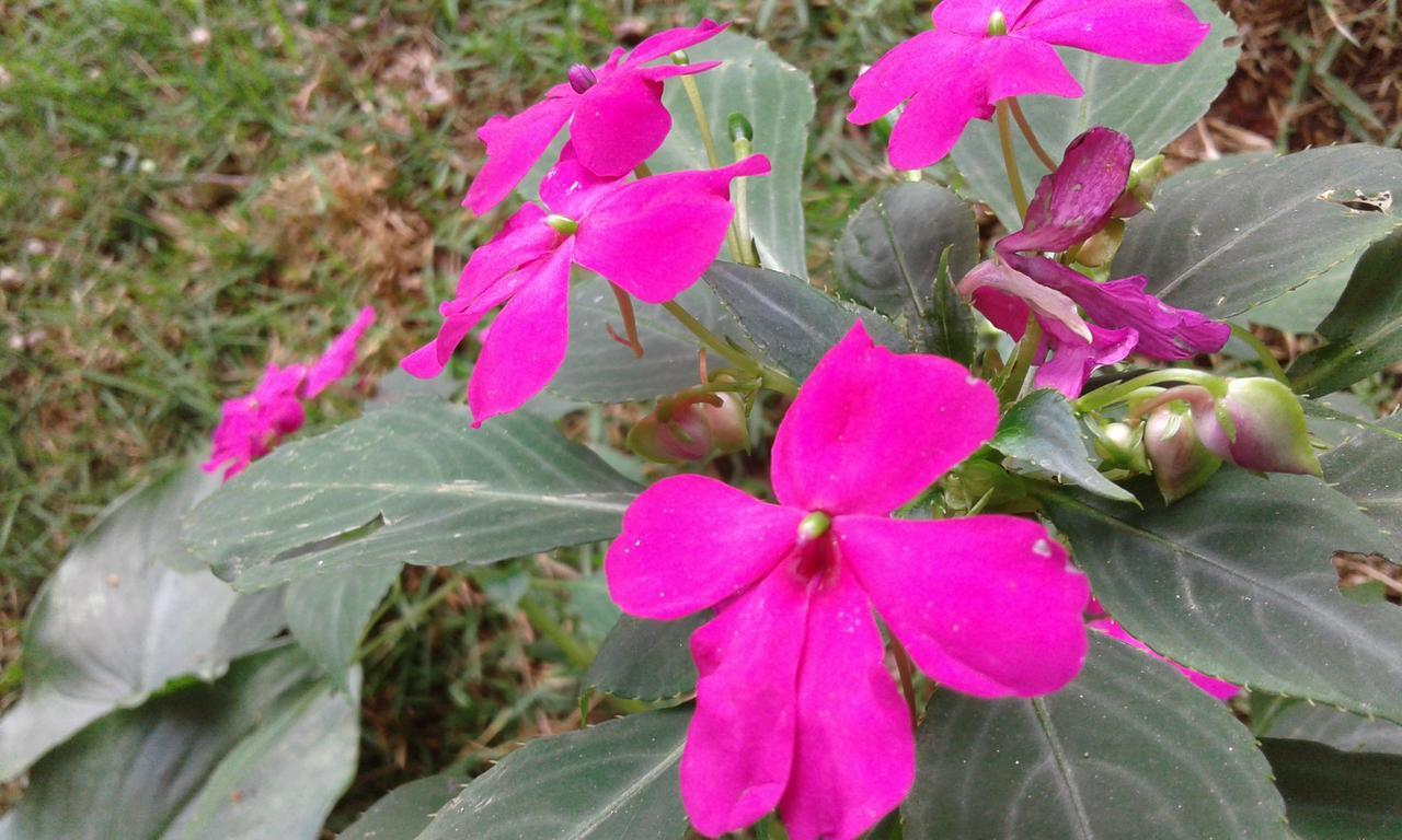 Pousada Aguas Da Mata Brejetuba 외부 사진